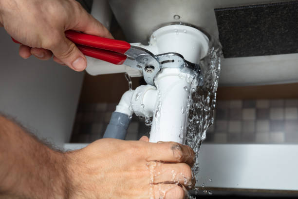  Citrus Park, FL Water damage restoration Pros