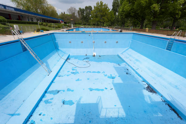Best Mold removal after water damage  in Citrus Park, FL