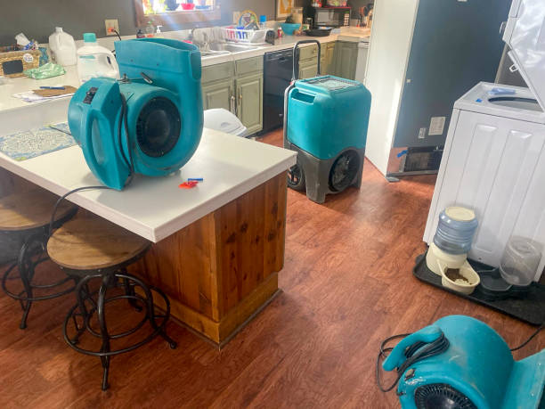 Best Water damage restoration near me  in Citrus Park, FL
