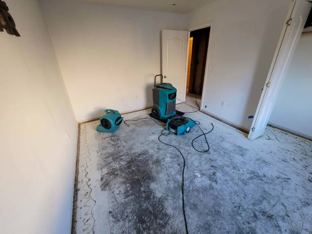 Best Local water damage restoration  in Citrus Park, FL