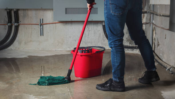Best Carpet water damage restoration  in Citrus Park, FL