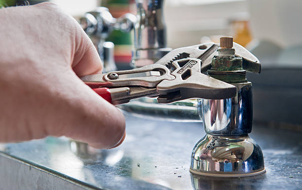 Best Flood damage cleanup  in Citrus Park, FL