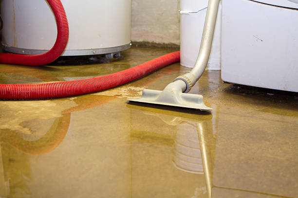 Best Carpet water damage restoration  in Citrus Park, FL